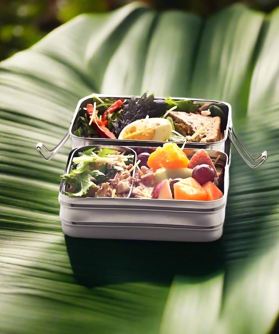 Large Rectangular Double Layer Lunch box | Stainless Steel - Meals In Steel