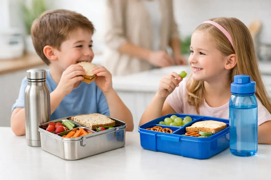 Stainless Steel Versus Plastic Lunchboxes - Meals In Steel