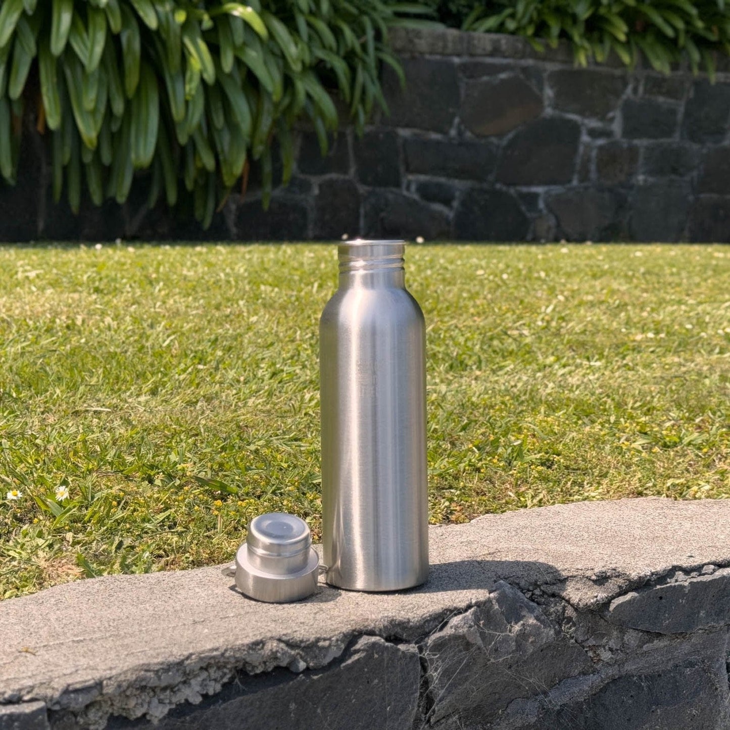 Meals in Steel Drinkware Single Layer Drink Bottle | Stainless Steel | 750ml