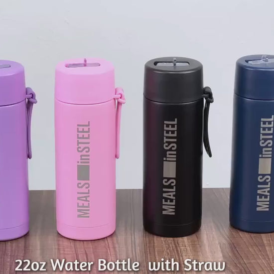 meals in steel 650ml bottle