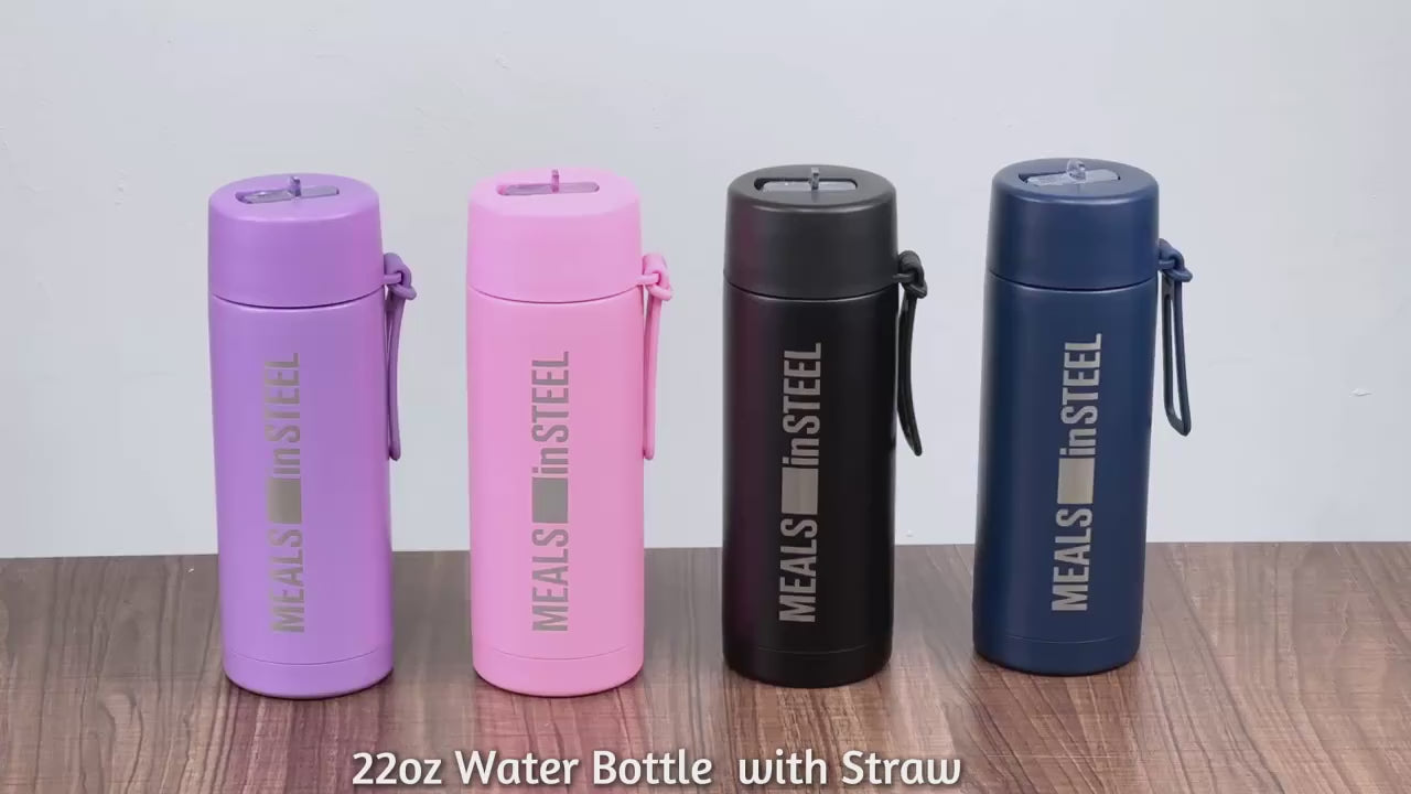 meals in steel 650ml bottle